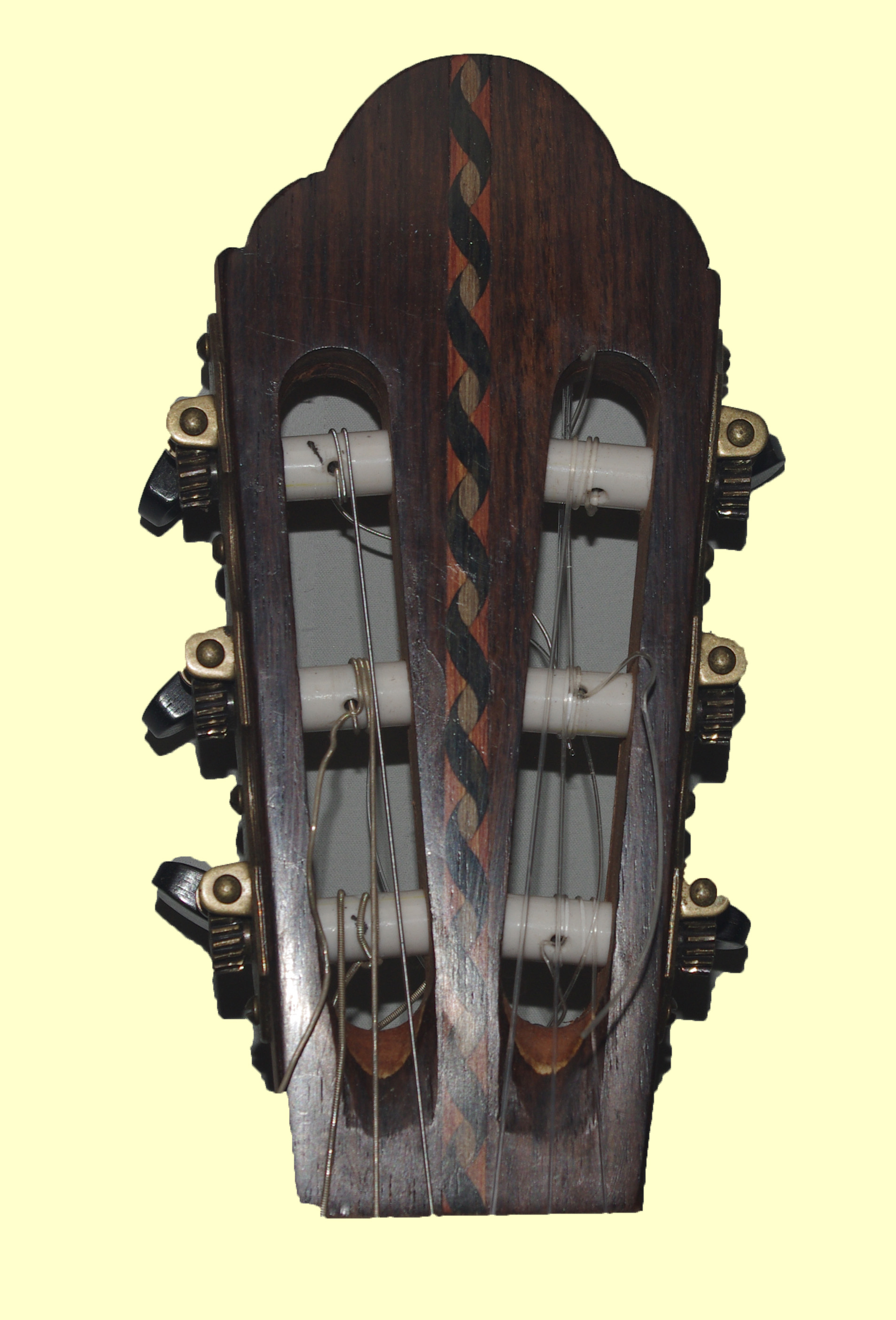 thompson24 head